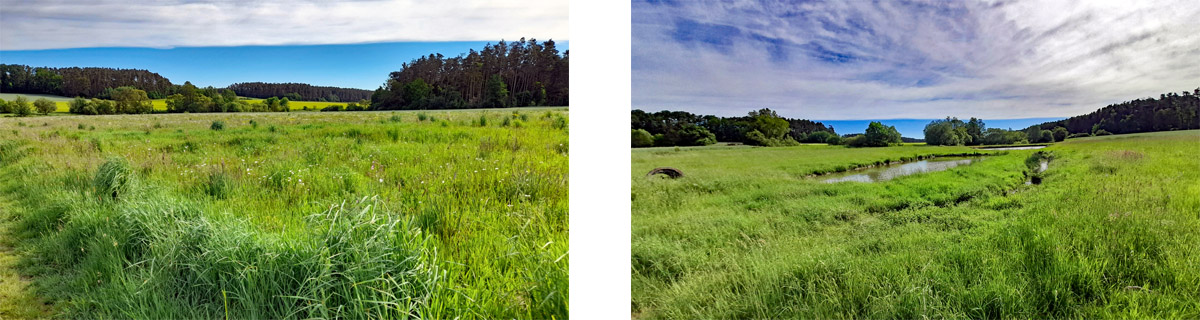 Abenberg - Wasser erleben Rundwanderweg 20 wasser erleben wanderung abenberg teiche karpfen rundweg