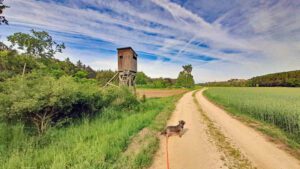 Abenberg - Wasser erleben Rundwanderweg 26 wandern fränkisches seenland abenberg