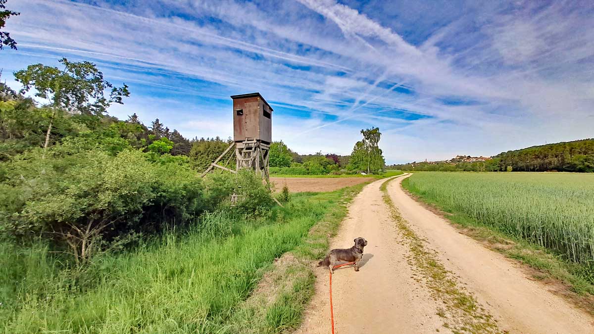 Abenberg - Wasser erleben Rundwanderweg 28 wandern abenberg fraenkisches seenland wasser erleben rundweg
