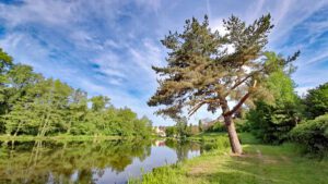 Abenberg - Wasser erleben Rundwanderweg 12 mittelfranken wandern abenberg fränkisches seenland