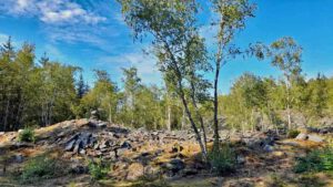 Abraumhalde Schiefer Naturschutzgebiet steinbruch lehesten