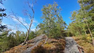 geopfad schieferpark lehesten schiefersee naturschutzgebiet