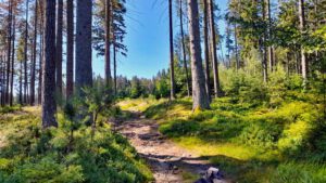Rundweg 3: Rudolfstein und Drei-Brüder-Felsen 13 rudolfstein rundweg 3 drei brüder felsen weißenstadt