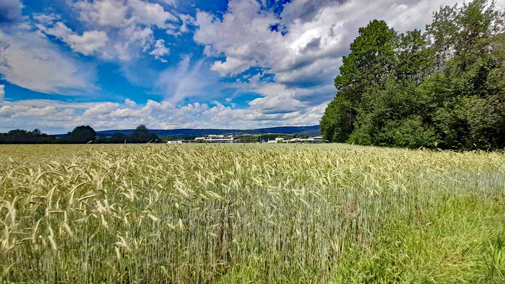 Rundweg 3: Rudolfstein und Drei-Brüder-Felsen 28 wandern fichtelgebirge bayern rudolfstein weißenstädter see