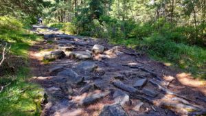 Rundweg 3: Rudolfstein und Drei-Brüder-Felsen 25 pfad rudolfstein drei brüder felsen rundweg 3 fichtelgebirge