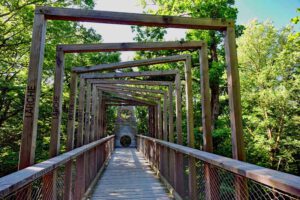 baumwipfelpfad steigerwald ebrach franken bayern rundweg
