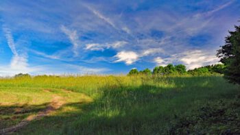 Permalink zu:BIOSPHÄRENRESERVAT RHÖN