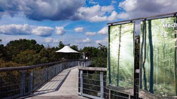 Permalink zu:BAUMWIPFELPFADE IN DEUTSCHLAND