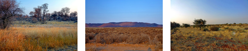 CHECKLISTE FÜR DIE REISE 5 naturraum savanne steppe prärie outback badlands checkliste