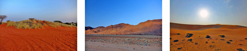 WÜSTE 3 wüste wüstenklima wüstentiere pflanzen klima