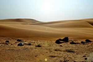 TIERWANDERUNGEN IN AFRIKA 13 naturraum wüste halbwüste trockengebiet sandwüste