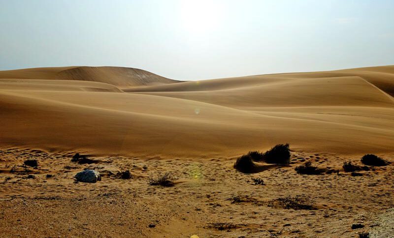 WÜSTE 2 naturraum wüste halbwüste trockengebiet sandwüste
