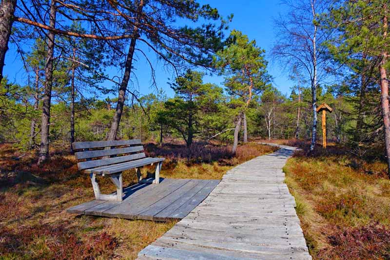 Burgen, Prismen und geheimnisvolle Labyrinthe - Die schönsten Geotope in Unterfranken 13 urlaub in deutschland ausflug reise rhön