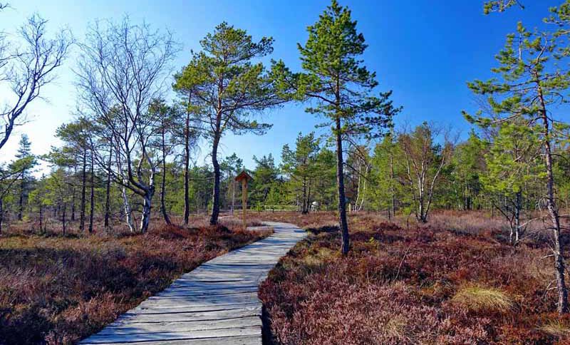 schwarzes moor rhön naturpark naturparks bayern ausflug wandern