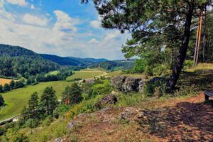 Wacholderwanderweg Teil 1 (Schmidmühlen - Hohenburg) 27 wacholderwanderweg bayern oberpfalz lauterachtal toskana naturparks