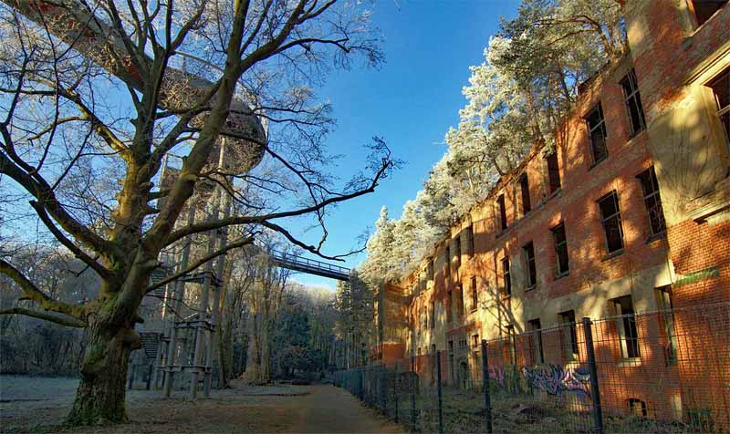 baumkronenpfad baum und zeit beelitz heilstätten