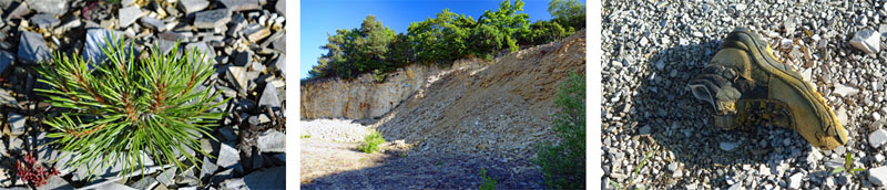 Bezauberndes Altmühltal 6 naturlehrpfad schernfeld obereichstätt wandern altmühltal
