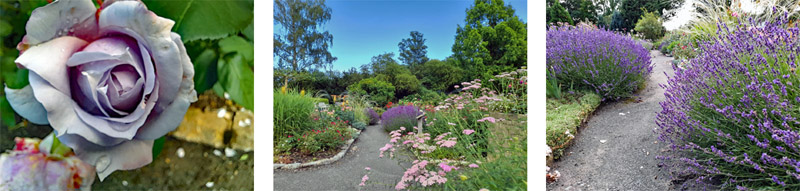 BOTANISCHER GARTEN HOF 9 park botanischer garten hof deutschland bayern