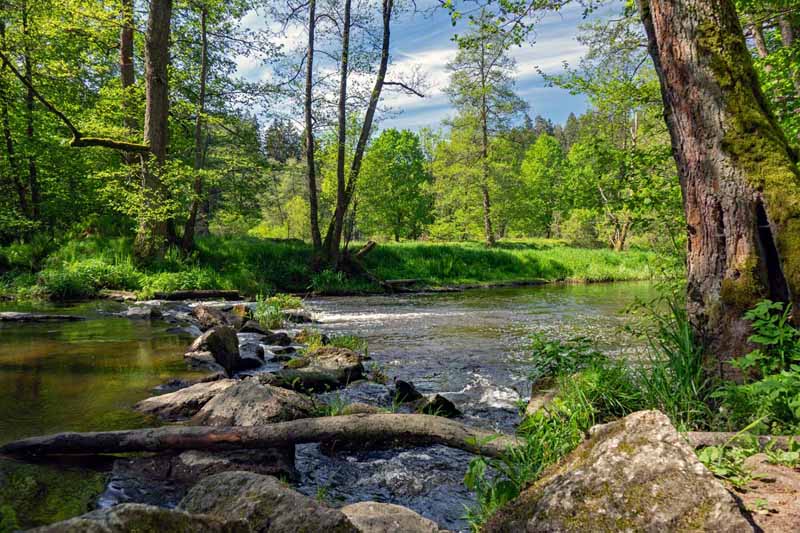 waldnaabtal wanderung naturpark steinwald falkenberg
