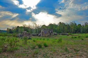 BRANDENBURG 8 sielmann naturlandschaft döberitzer heide havelland brandenburg