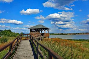 ausflug natur sielmann naturlandschaft wanninchen tagebau