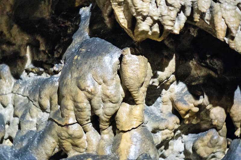 elefant tropfstein maximiliansgrotte mittelfranken krottensee ausflug familie