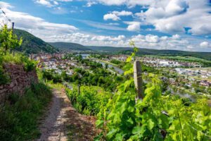 Fränkische Wanderberge - Teil 3 27 hohberg auf dem rundweg seltenbachschlucht klingenberg spessart main naturparks bayern