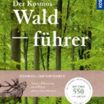BÜCHER 9 buchempfehlung bücher waldführer