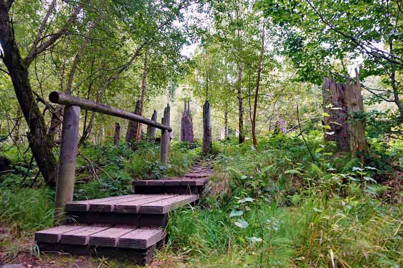 NATURPARKS IN BAYERN 20 naturpark bayerischer wald rachel wandern ausflug