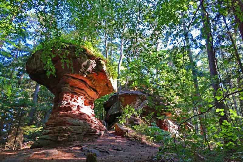 UMWELTFREUNDLICH REISEN 8 naturraum naturräume dieser erde klimazone vegetation pflanzen tiere
