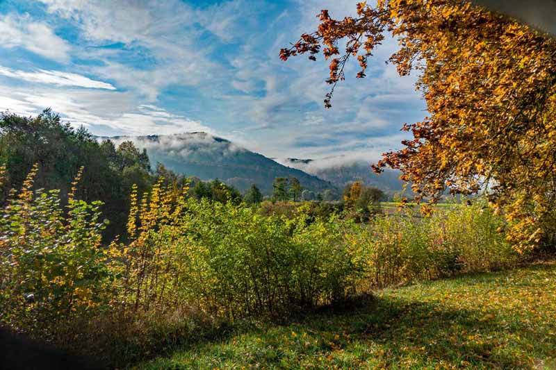 NATURRÄUME 3 naturräume naturraum erde wald wälder gemäßigte zone