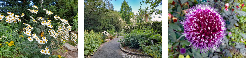 PARKS UND PRIVATE GÄRTEN 3 park oberfranken hof botanischer garten theresienstein