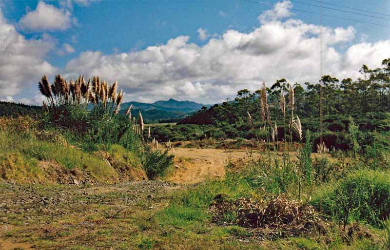 REISEVERSICHERUNGEN 8 reise rundreise europa afrika amerika neuseeland australien tipps infos versicherungen