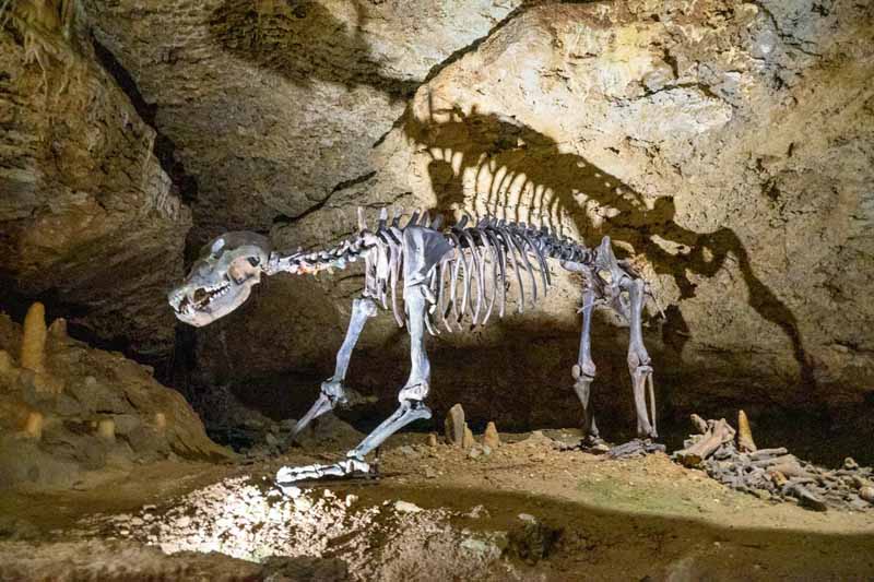 schauhöhle tropfsteinhöhle teufeleshöhle pottenstein geotop