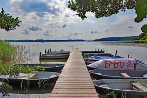 wandern ausflug brandenburg naturlandschaft sielmann groß schauener seen