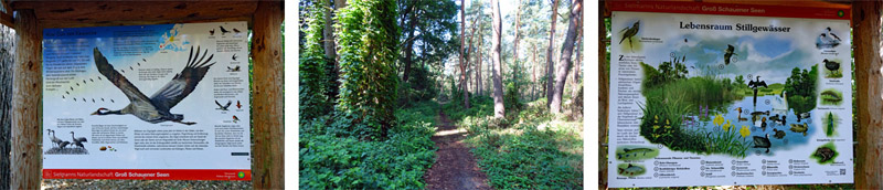BRANDENBURG 5 storkow groß schauen seenkette sielmann brandenburg