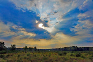 sielmanns naturlandschaften truppenübungsplatz döberitzer heide brandenburg
