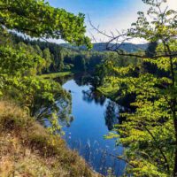 Urwaldpfad Hirschberg 13 urwaldpfade thüringen wildnis deutschland wandern