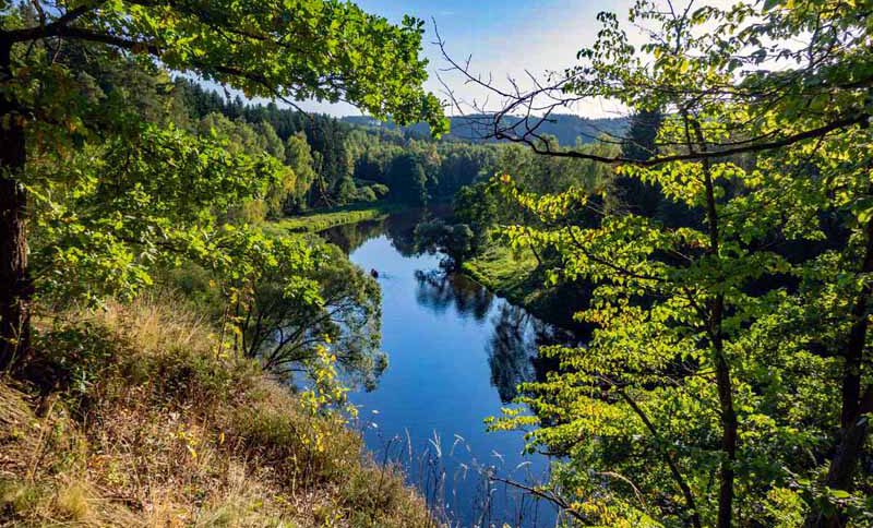 Urwaldpfad Hirschberg 2 urwaldpfade thüringen wildnis deutschland wandern