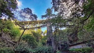 geotop röslauschlucht gsteinigt arzberg wunsiedel oberfranken