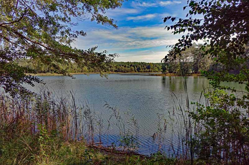 BRANDENBURG 18 wüste deutschland brandenburg wandern wildnispfad lieberose heide