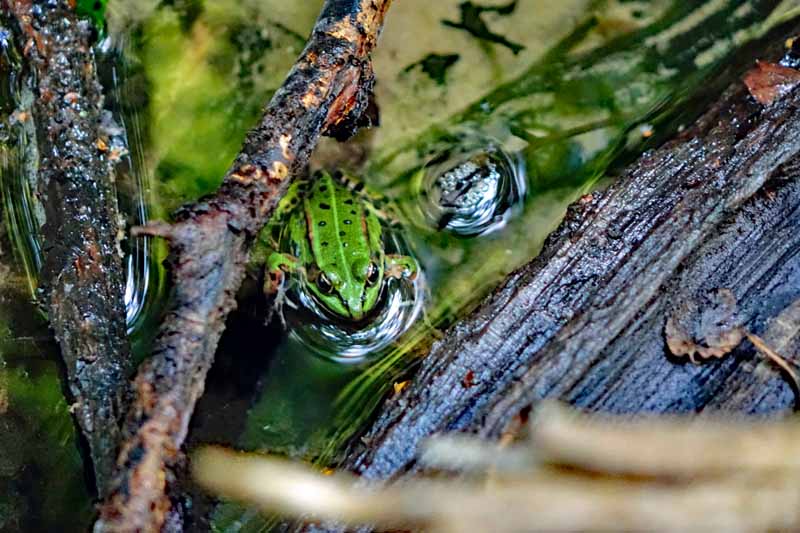 BRANDENBURG 3 brandenburg wandern ausflugsziele