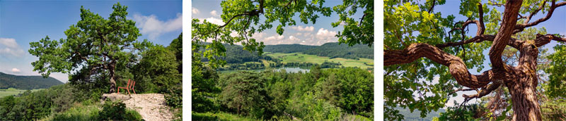 DEUTSCHLAND 19 wanderung auf die houbirg in happurg nürnberger land