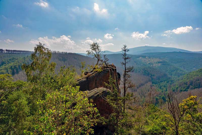NATURRÄUME 13 nationalpark harz naturraum wald urwald wildnis deutschland