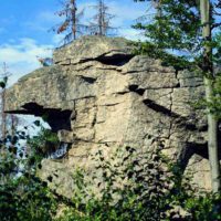 Waldhistorischer Lehrpfad im Naturpark Steinwald (Oberpfalz) 8 waldhistorischer lehrpfad wandern naturpark steinwald erbendorf pfaben