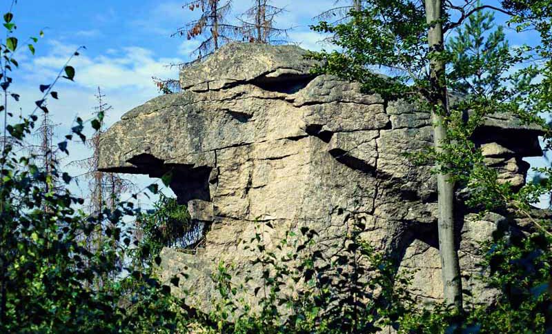 Waldhistorischer Lehrpfad im Naturpark Steinwald (Oberpfalz) 2 waldhistorischer lehrpfad wandern naturpark steinwald erbendorf pfaben