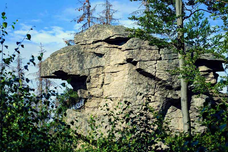 waldhistorischer lehrpfad wandern naturpark steinwald erbendorf pfaben