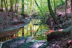 Romantisches Havelland - Rundweg von Ketzin nach Paretz 25 naturpark barnim brandenburg wanderung hellmühler fließ biesenthal