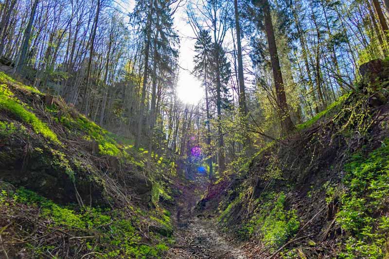 Geheimnisvolle Gräben, Schluchten und Klammen in Franken 9 keltenweg h staffelstein fränkische schweiz wandern