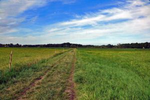 luchwiesen salzweg storkow wandertour rundweg oder spree